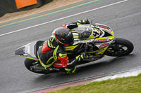 Advanced 1 Group Yellow Bikes